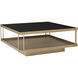 Finch 40 X 40 inch Black / Antique Brass Coffee Table